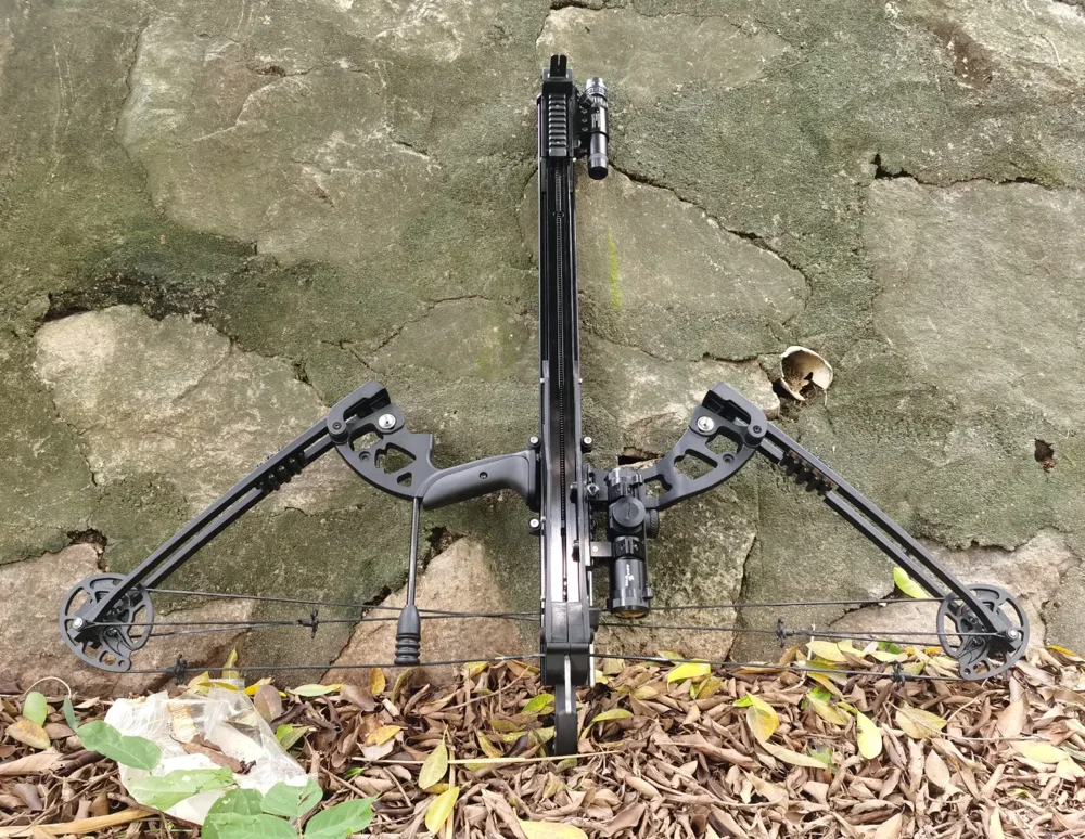 The bow photographed outdoors against stone, with the full frame visible.